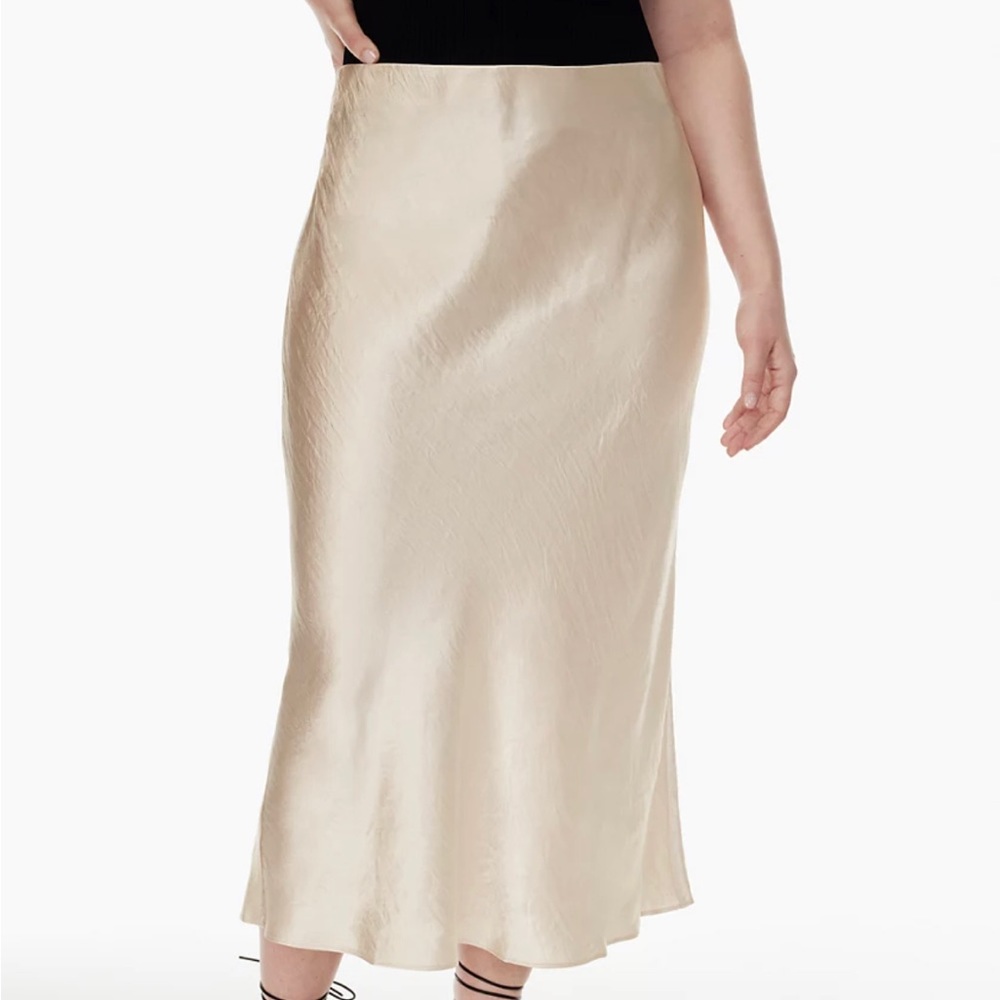 Aritzia Babaton Slip Maxi Skirt